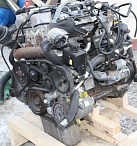 Двигатель D20DT(664950)  Euro 3 Ssang Yong